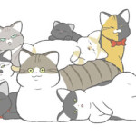 고로애옳