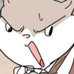 사회초년캣